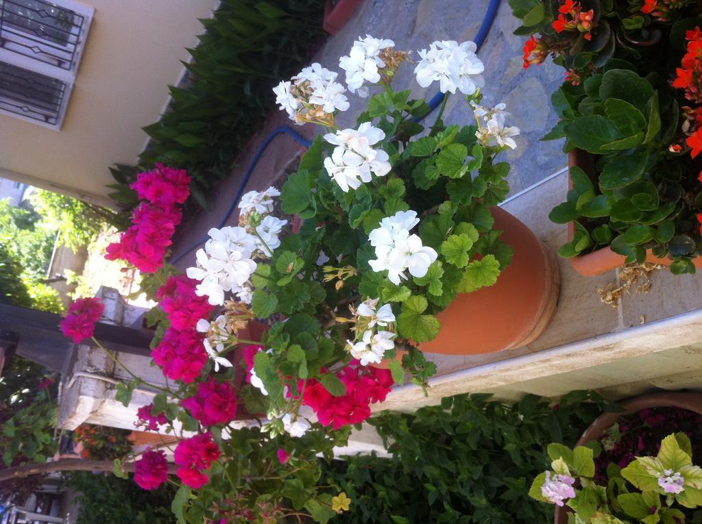 Besik Hotel Fethiye Exterior foto
